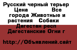 Русский черный терьер › Цена ­ 35 000 - Все города Животные и растения » Собаки   . Дагестан респ.,Дагестанские Огни г.